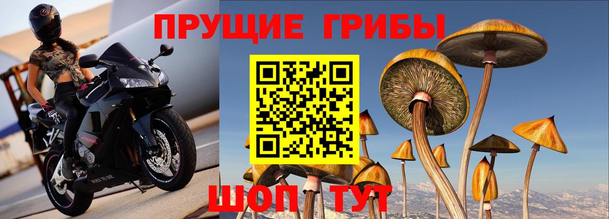 Барнаул  Псилоцибиновые грибы мицелий  Вход с VPN 